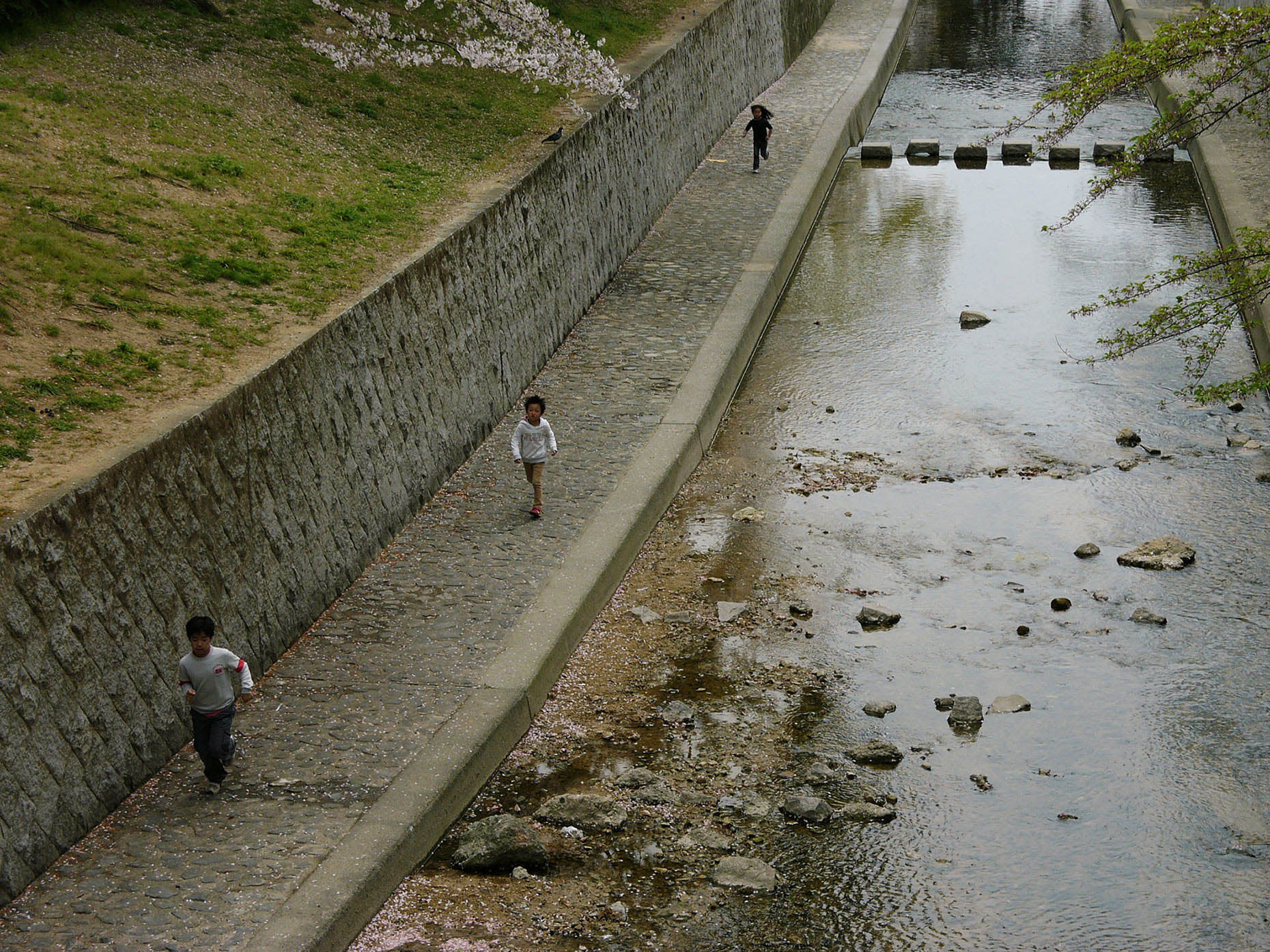 Japan2010_1056