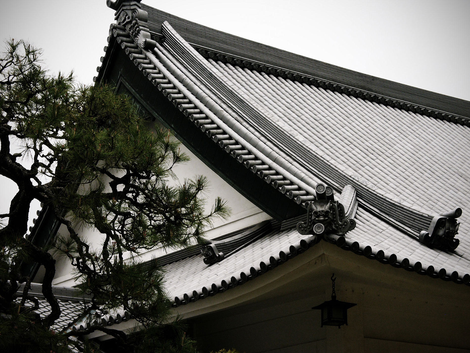 Japan2010_1396