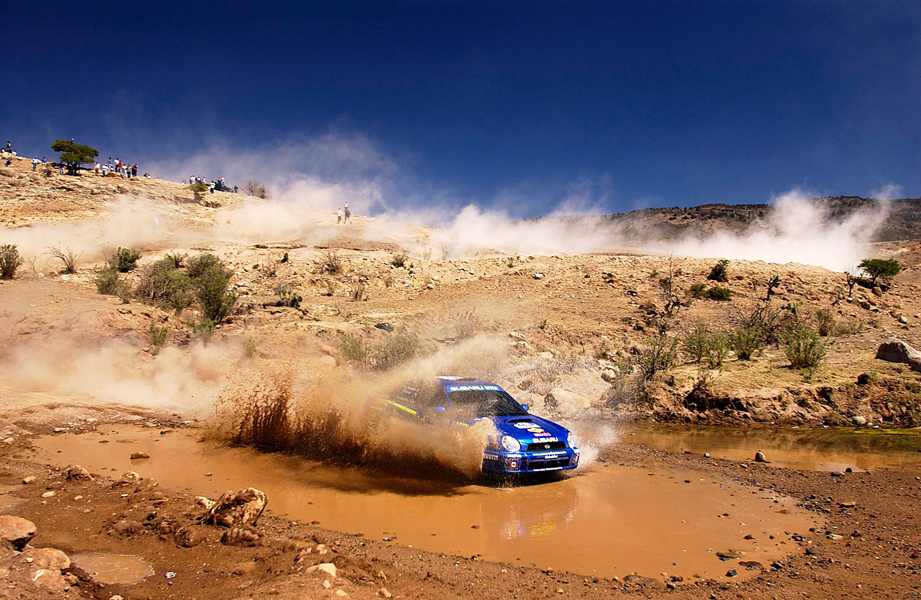 Rally006